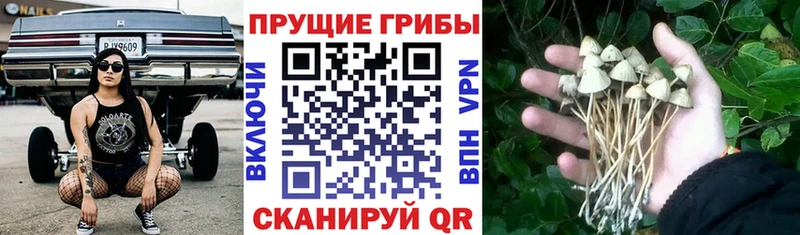 Псилоцибиновые грибы Magic Shrooms  Купить  Лихославль 